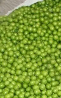 گوجه سبز جنگلی