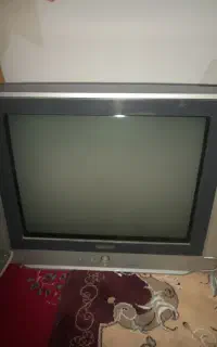 تلویزیون
