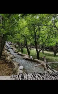 تور گردشگری بانوان