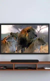 نصاب تلویزیون به دیوارباپایه دیواری ثابت ومتحرک