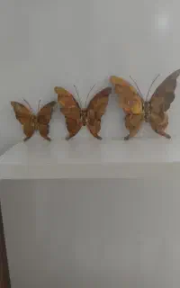برنز