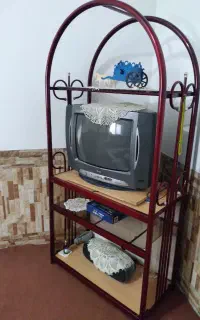 تلویزیون