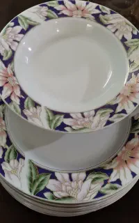 ظروف غذاخوری چینی