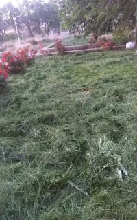 علف.زنی.سمپاشی.باغبانی