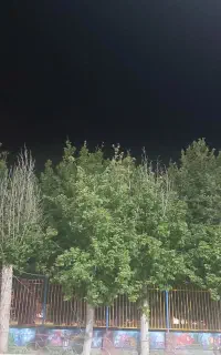 نیازمند پرایدبار استیجاری