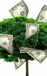ثبت درخواست سرمایه فوری ویژه تمامی افراد