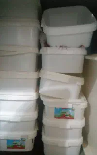 ۱۳عدد ظرف  پنیر و شیشه خالی