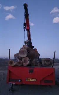 خرید انواع چوب باغی