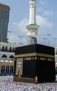فیش حج واجب
