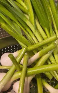سیر سبز تازه فریز شده