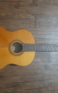گیتار اسپانیایی فرناندز