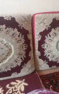 یک جفت ‌پشتی  سالم