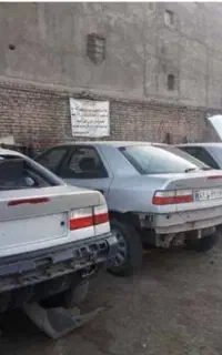 زانتیا اسقاطی اوراقی تصادفی