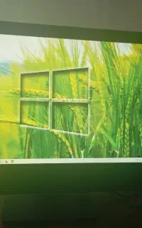 بیمه شخص ثالث