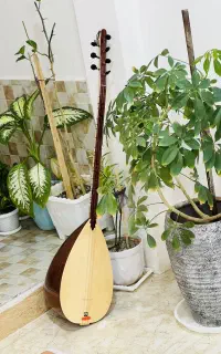 باغلاما دسته بلند