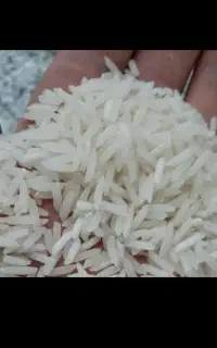 برنج درگز درونگر