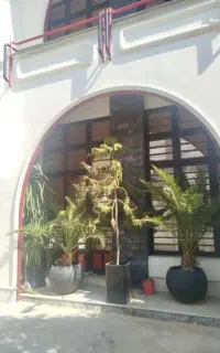 نیازمند سوییت یا پیلوت برای مادر  فرزند