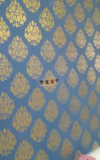 رنگ آمیزی ساختمان و درب و پنجره