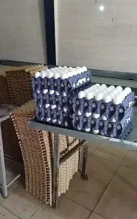 جویای کار هستم