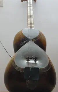 شش تار