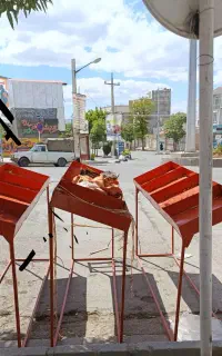 پالت میوه فروشی