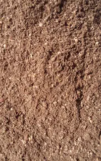 پودر هسته خرما و خوراک دام
