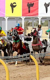 اسب قیمت مناسب همه نژاد