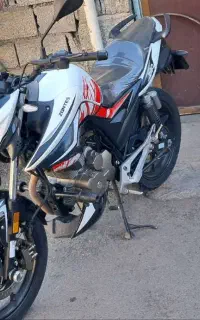 زونتس 230 شرایطی