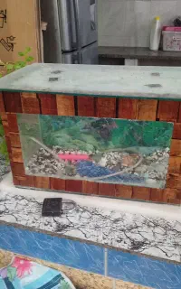آکواریوم