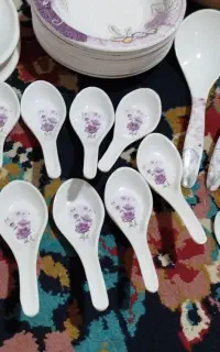 ملامین نشکن خریداری ازدبی دوسرویس ۱۱۰تکه