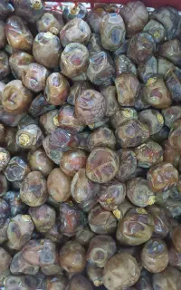 خرمای برحی