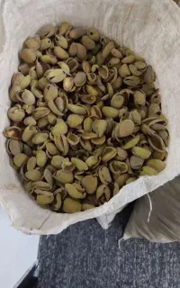 400 کیلو پوست سبز بادام مخصوص اسب و گاو و بز