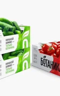 طراحی جعبه مواد غذایی و کلای تولیدی