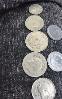 سکه شاهی