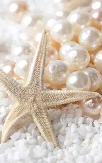 با مبل شویی و قالیشویی مروارید تغییر را احساس کنید