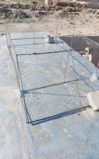 دام طور