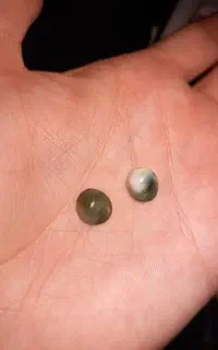 اصلی و بشرط تست