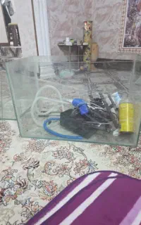 تنگ اکواریوم