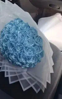 گل روبانی