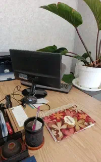 حسابدار