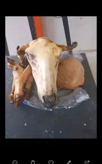 تمیز کردن کله و پاچه باآب جوش وتکه کردن