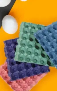 خط تولید شانه تخم مرغ