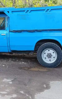حمل با نیسان
