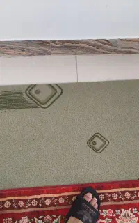 موکت بدون پرز