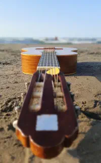 آموزش خصوصی پیانو ،ارگ،گیتار