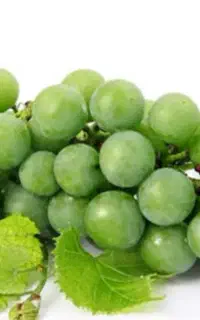 غوره دیونه