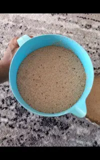 بذر سفید گوجه ای پرپر درجه یک