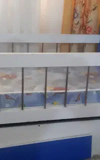تخت گهواره ای همراه باتشک قابل استفاده تا۵سال