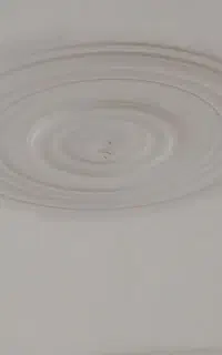 گچکاری و گچبری