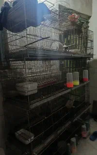 فروش قفس ۸ خوان